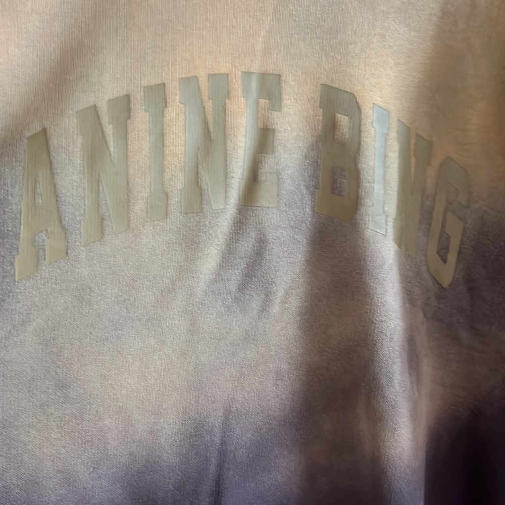 Anine Bing Brown and Gold Ombre Sweatshirt - Picture 7 of 14